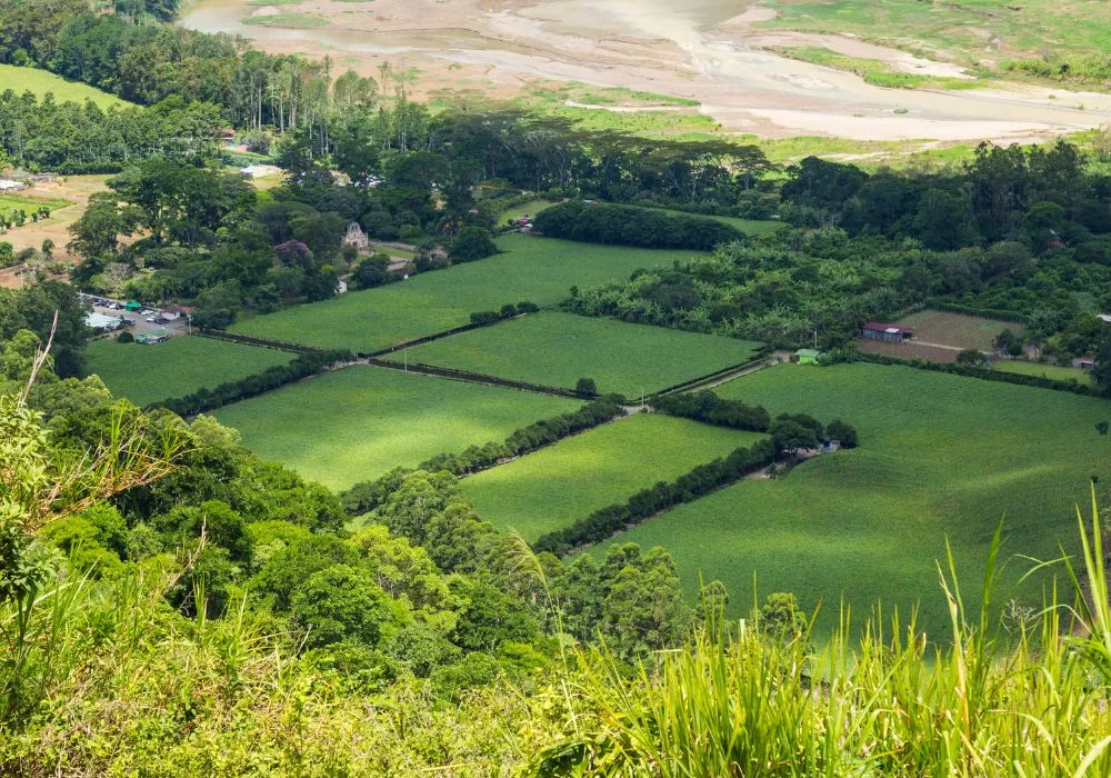 Farmland Tax Credits: What Farmers & Investors Need to Know