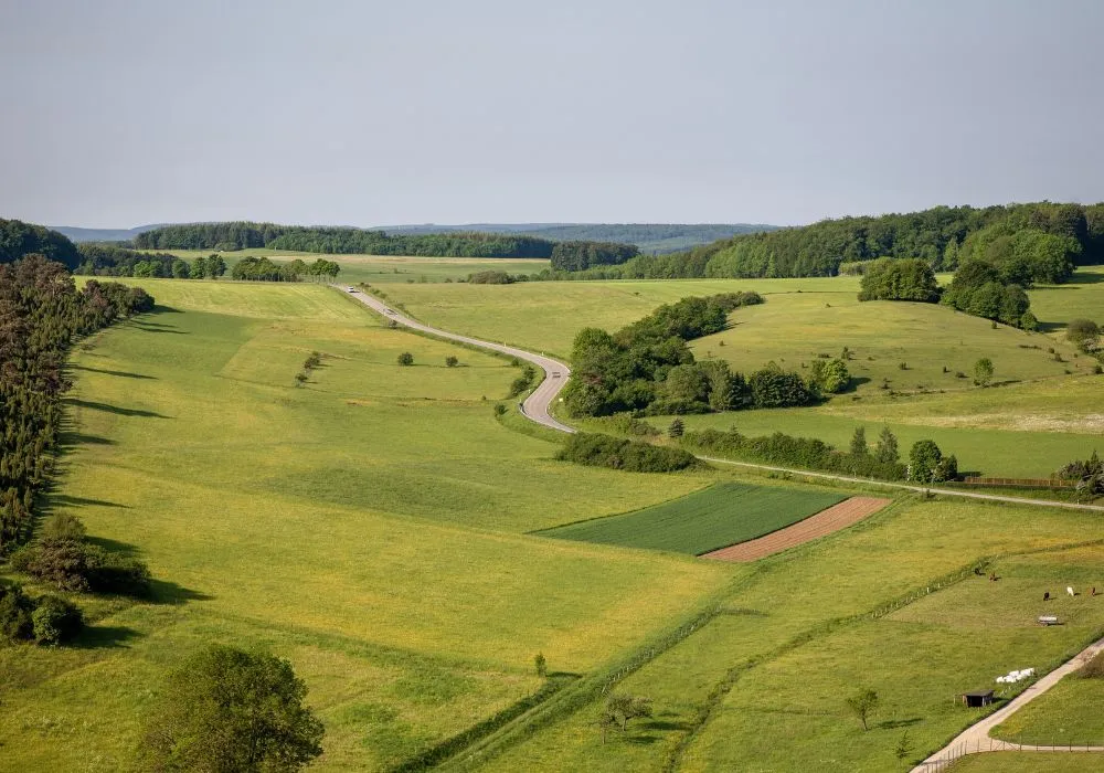 Is Farmland a Good Investment? A Beginner’s Guide